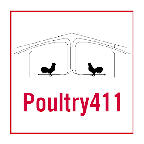 Poultry 411 App.png