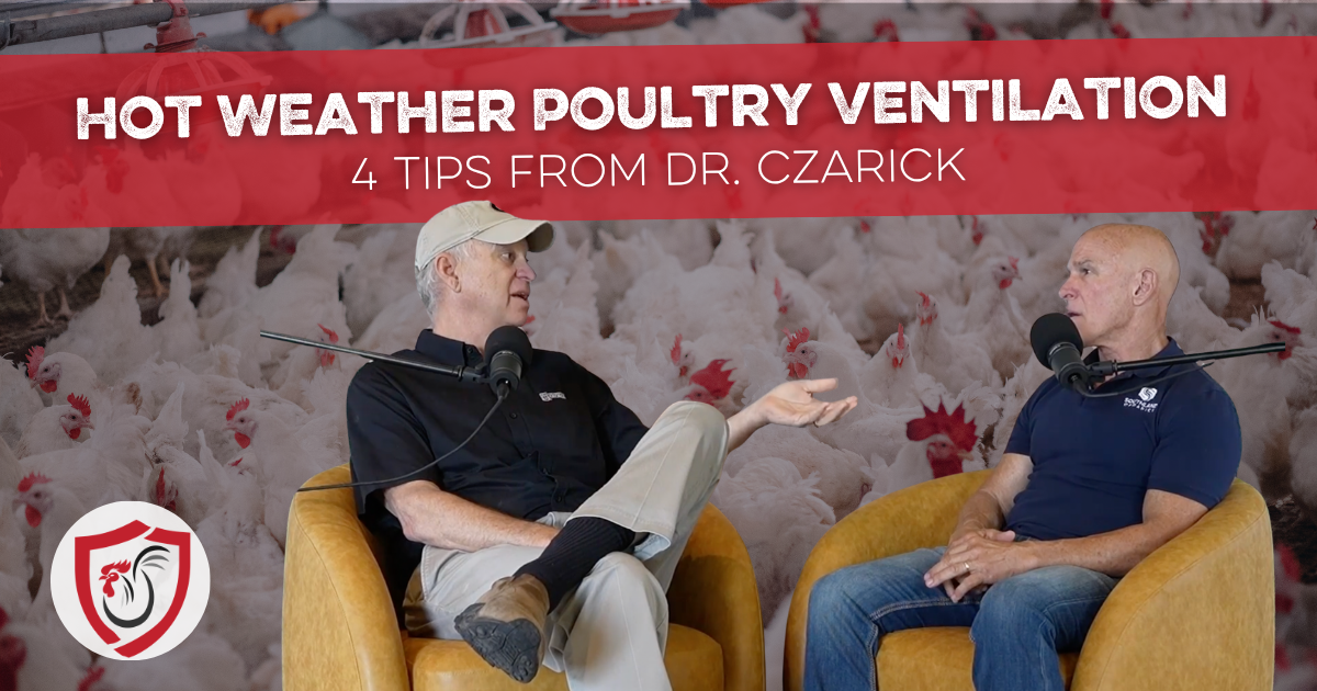 4 Hot Weather Poultry Ventilation Tips From Dr. Czarick