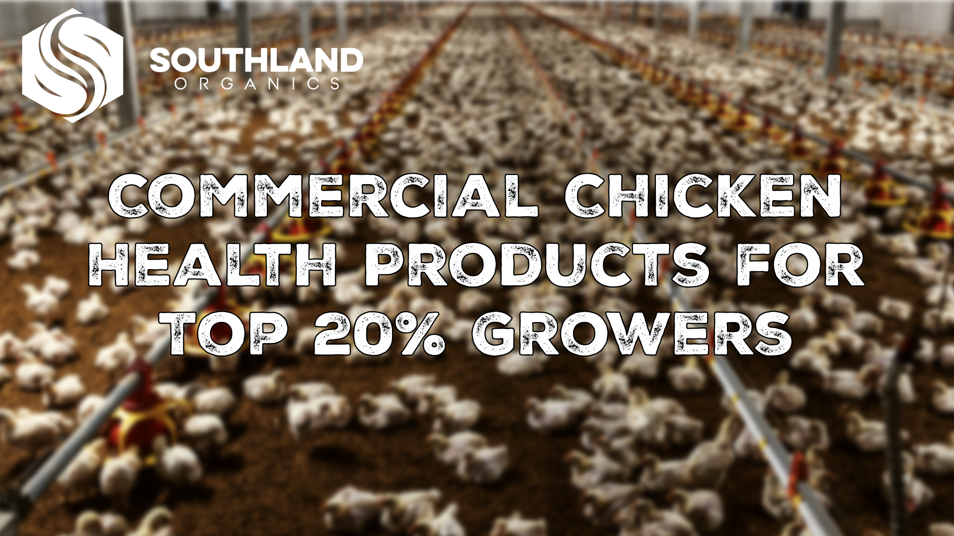 Commercial Chicken Health Products for Top 20% Growers