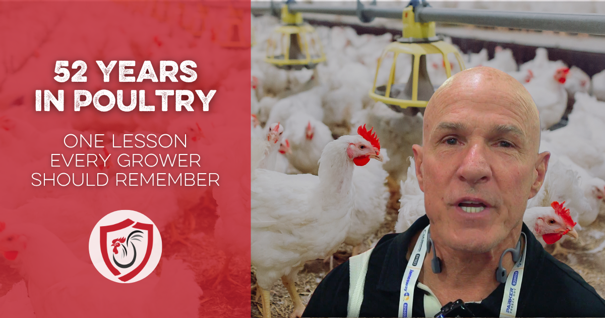 52 Years in Poultry: One Lesson Every Grower Should Remember