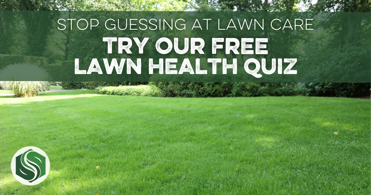 Stop Guessing at Lawn Care: Try Our Free Lawn Health Quiz