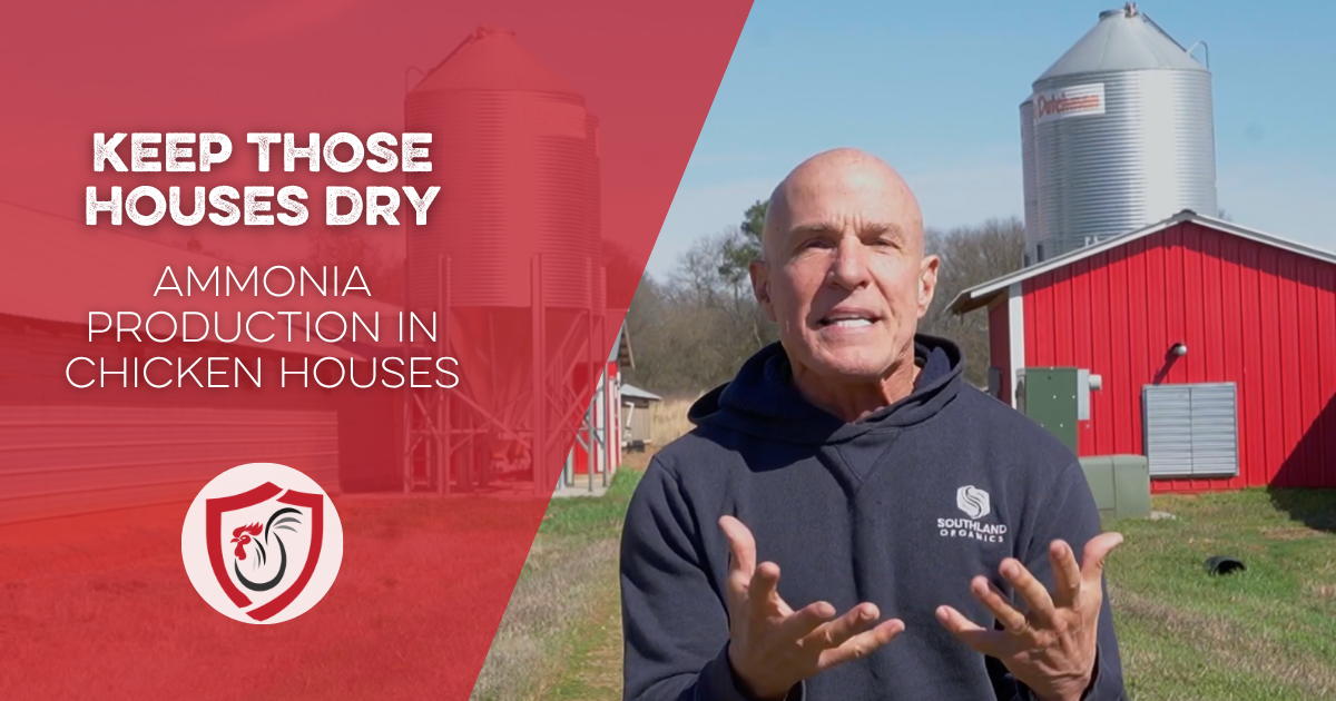 Keep Those Houses Dry: Ammonia Production in Chicken Houses