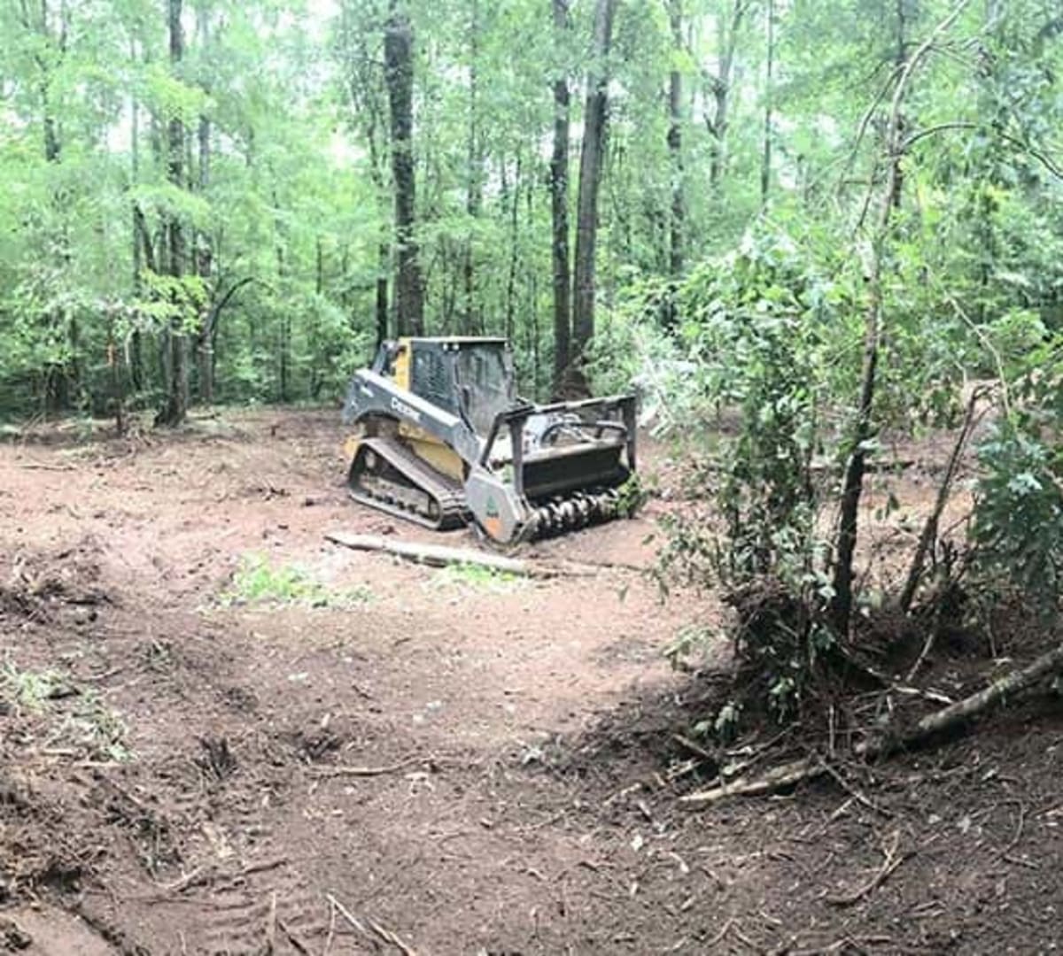 Professional brush clearing equipment in action