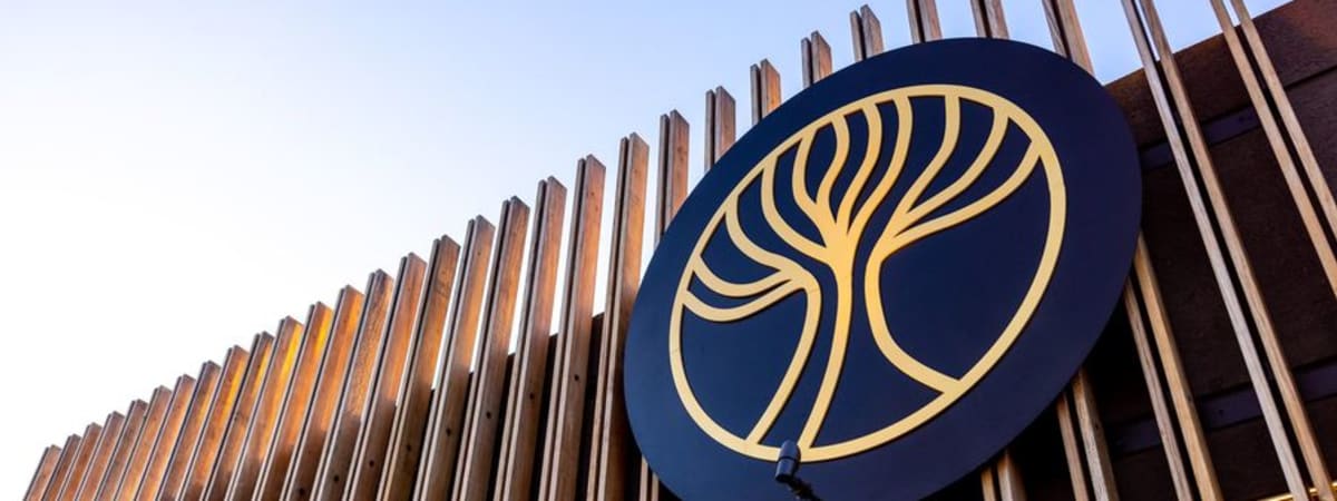 The Banyan Tree Center