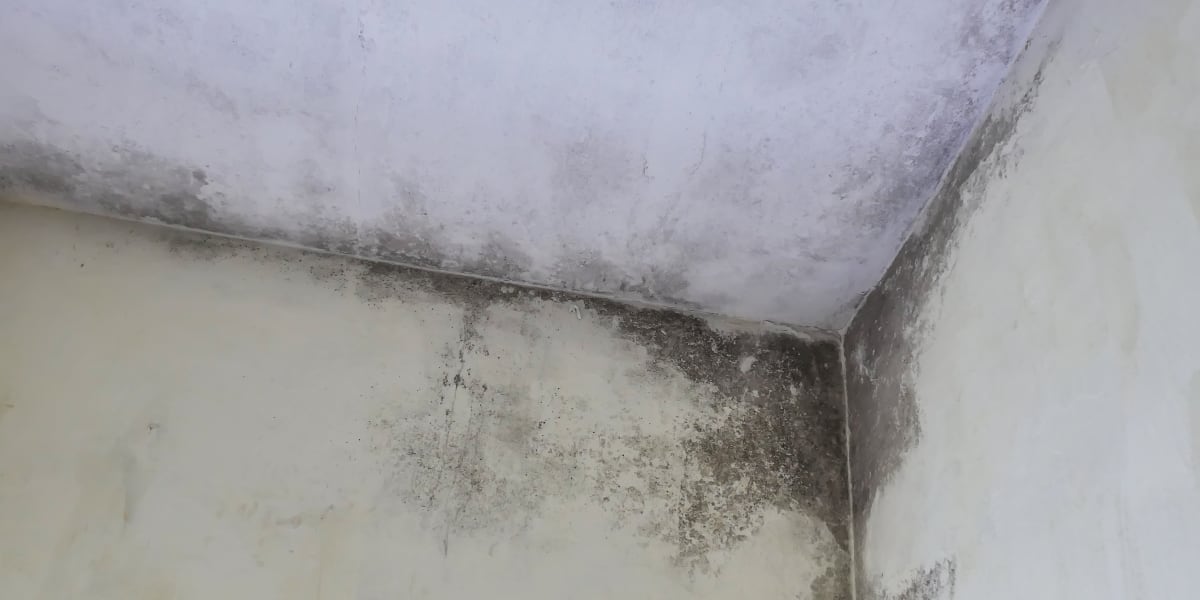 Professional HVAC duct sanitization treatment