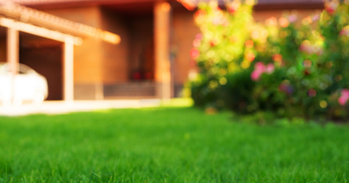 Best Organic Fertilizers for Warm Season Grass: A Practical Comparison Guide