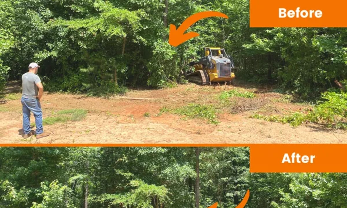 Before and after brush clearing comparison showing overgrown lot transformed into usable space