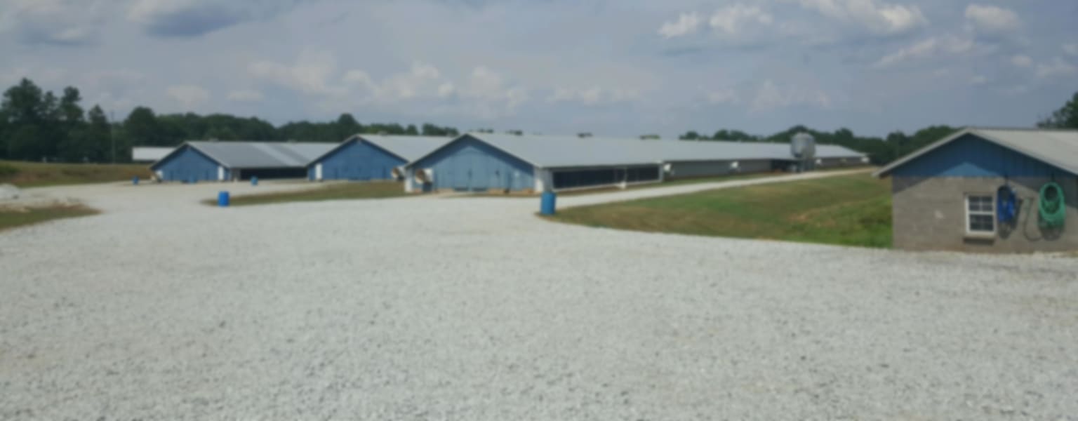 Commercial broiler farm — Southland Organics poultry programs
