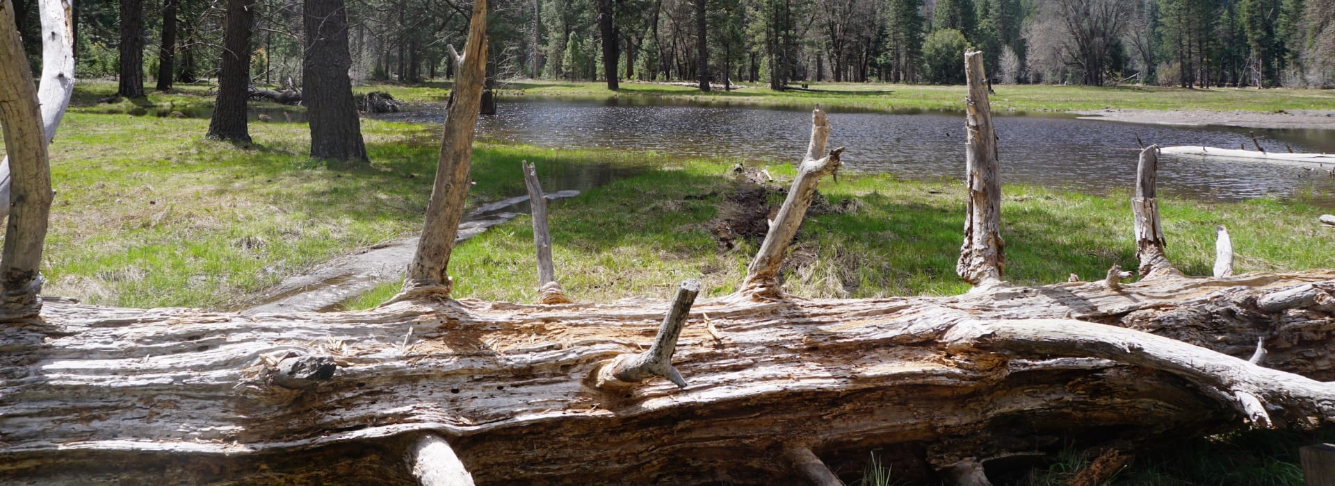 Natural landscape — Southland Organics waste treatment products work with nature