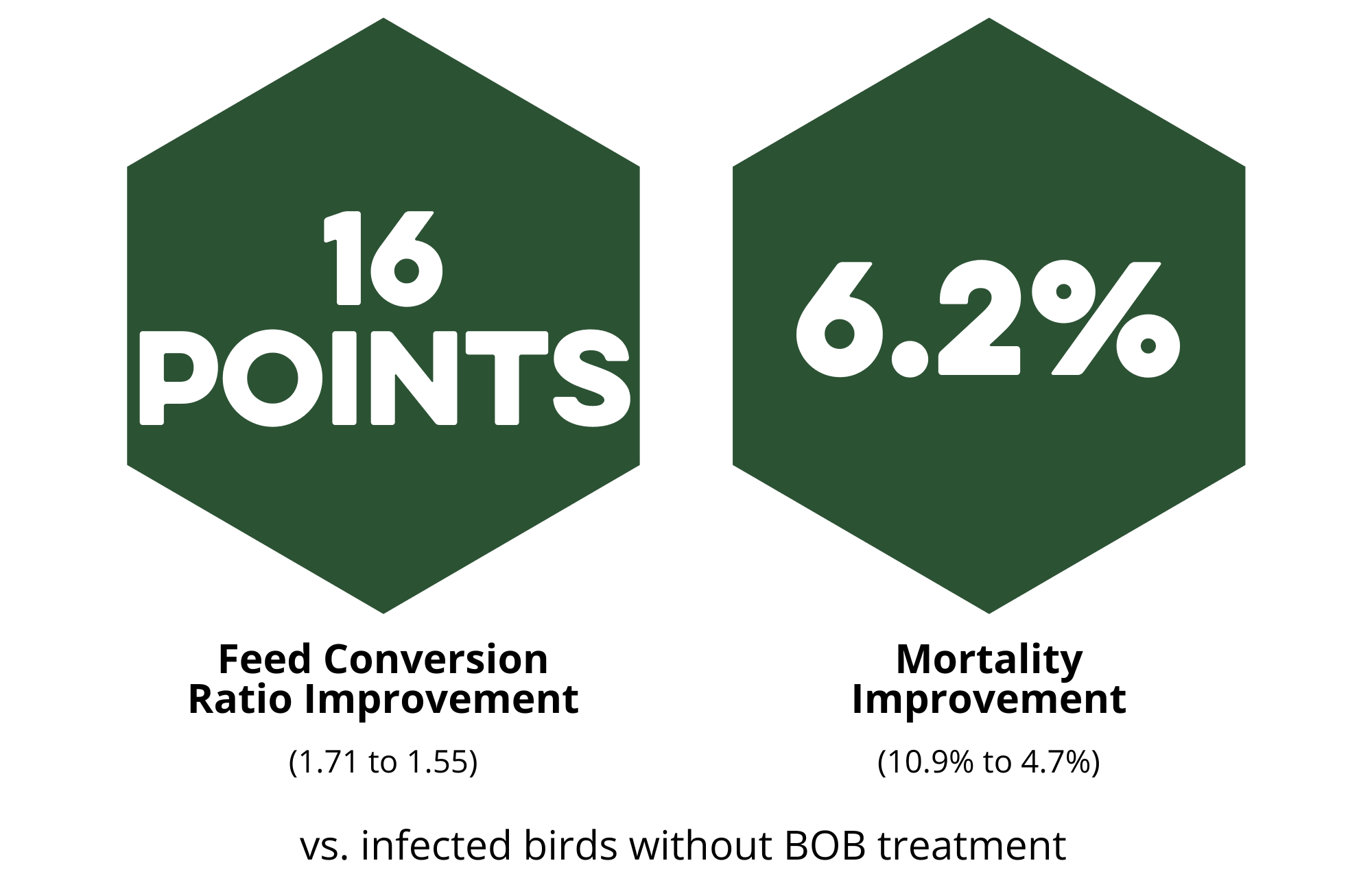 Big Ole Bird 2016 Study
