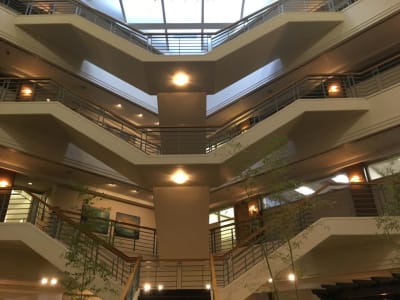 Commercial Cleaning Services