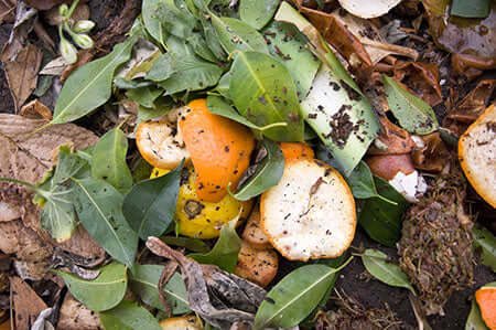 Soil nutrient depletion solution: composting