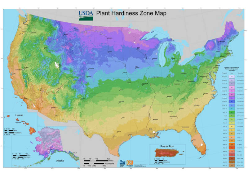 USDA Plant Hardiness Zone Map