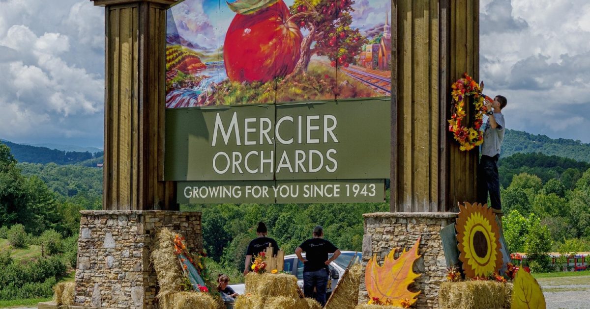 Mercier Orchards