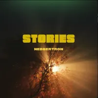 NebbertroN 