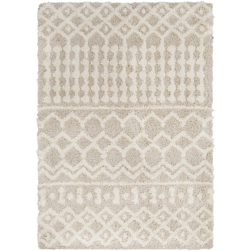 Modern Wayfair Shag Rug