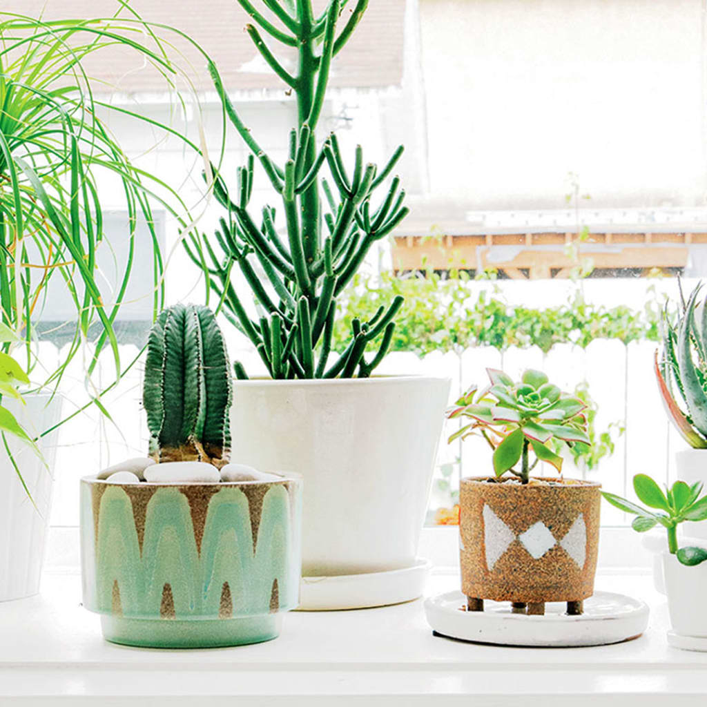 Bohemian Decor Ideas