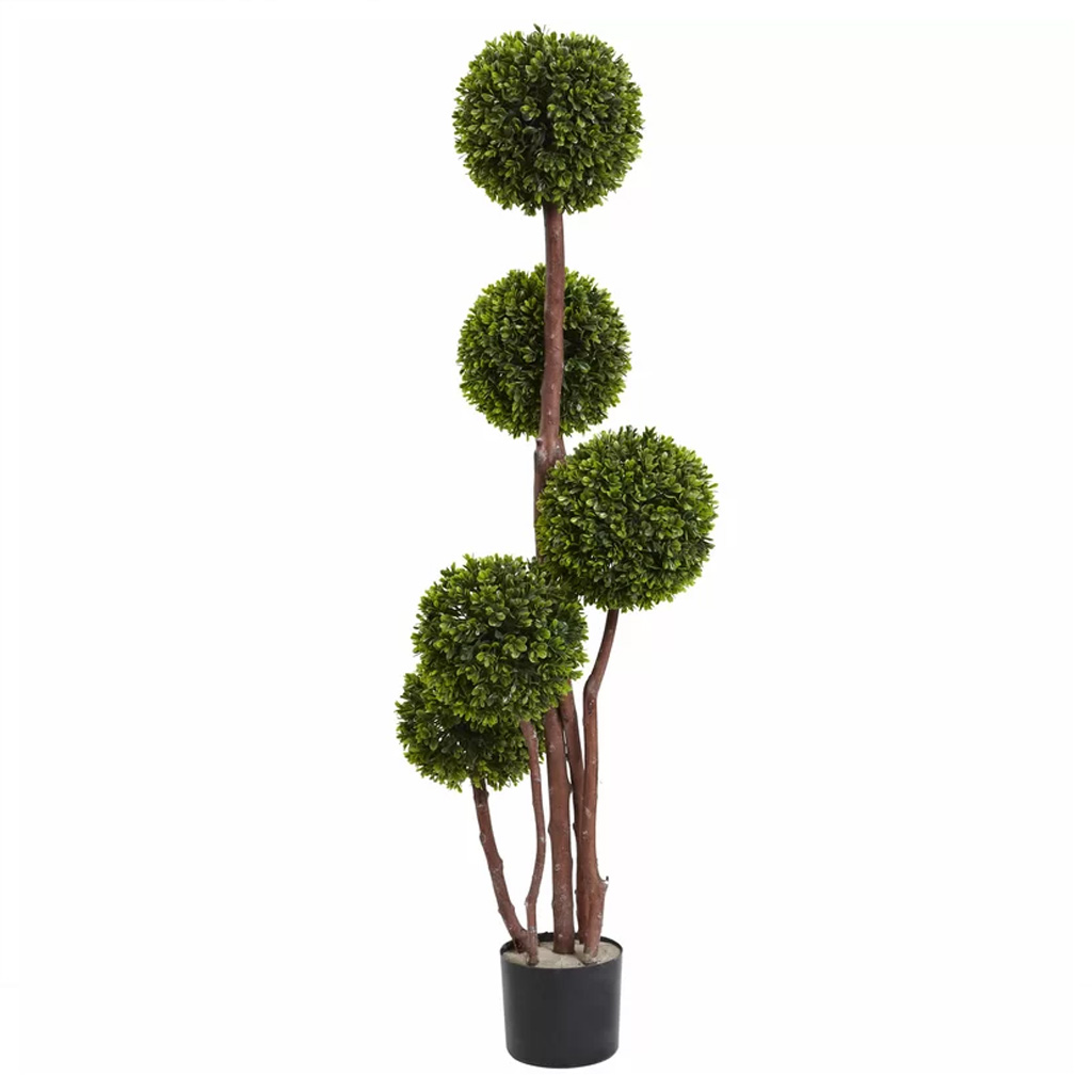 Boxwood Topiary in Planter