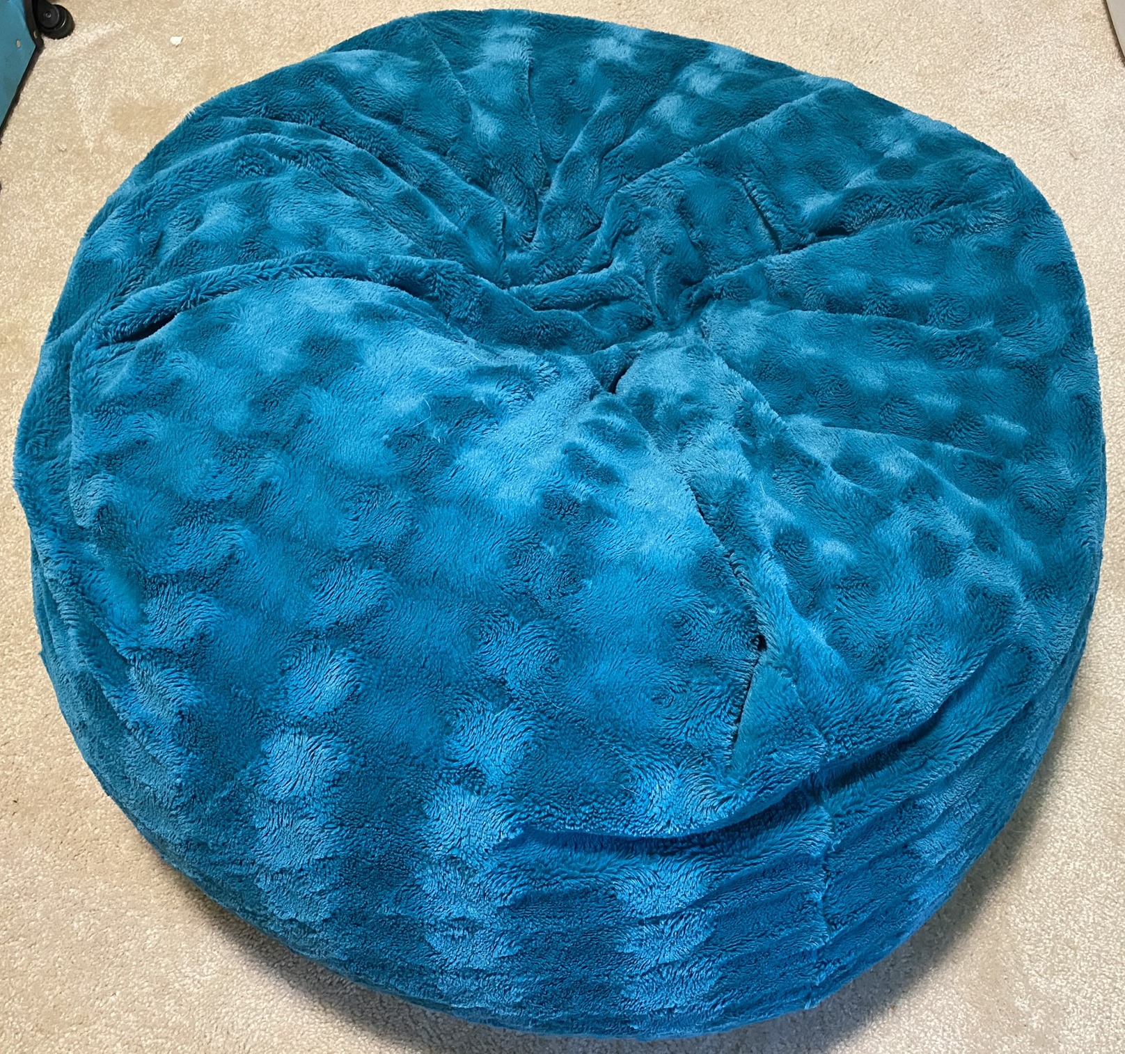 Teal bean bag