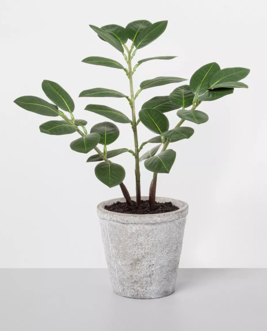 Faux ZZ Potted Plant