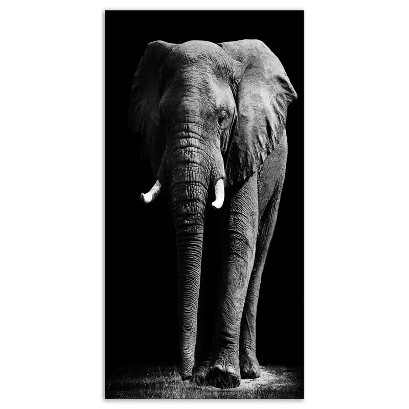 African Elephant in Black Artwork