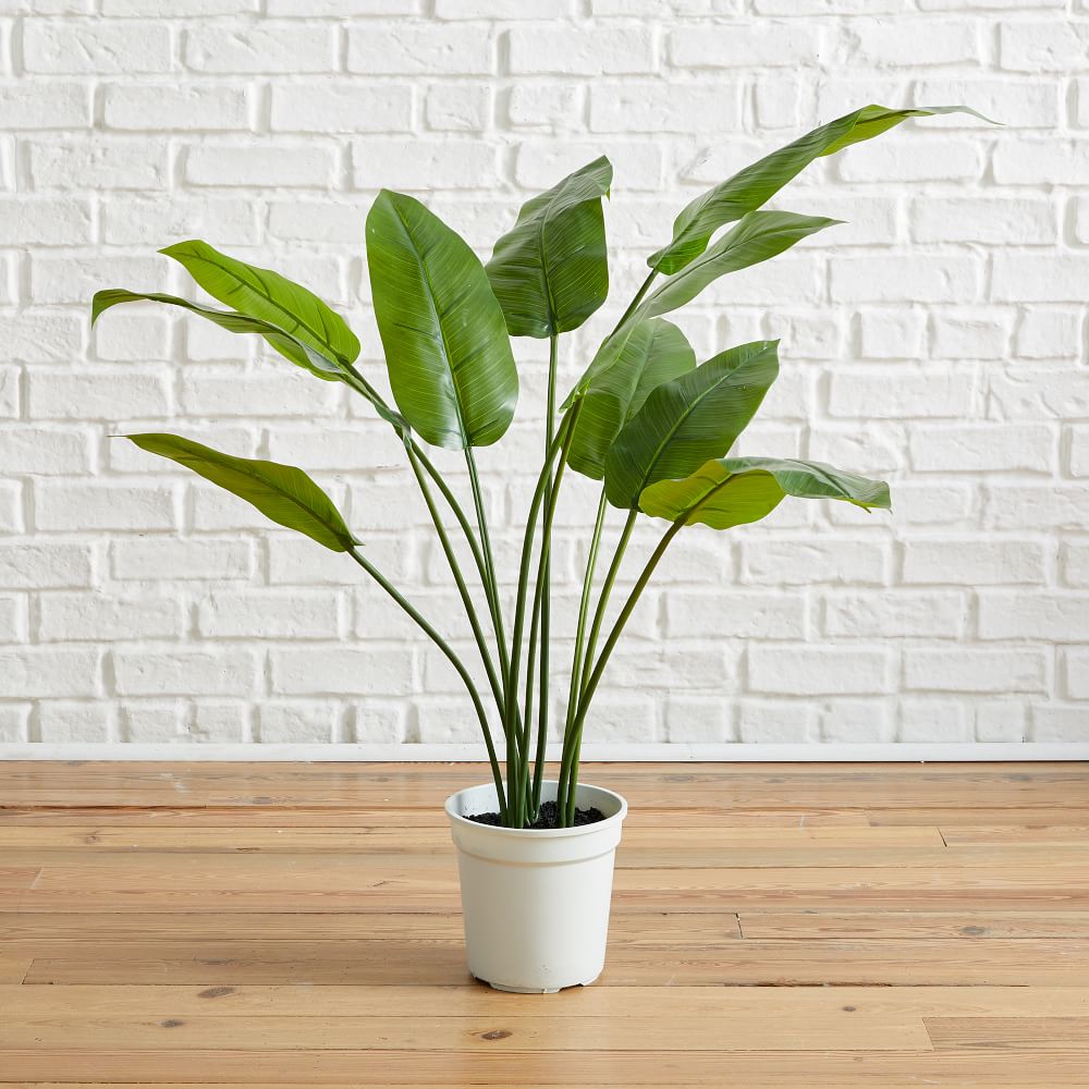 Faux Potted Bird of Paradise Plant