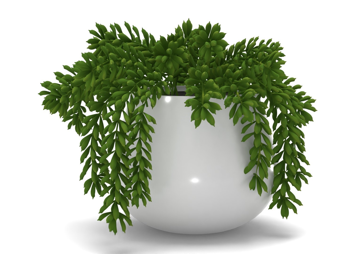 Faux Potted Green Trailing Succulent Plant