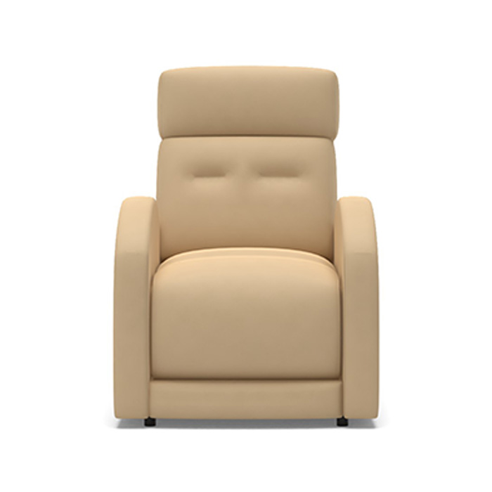 Bank Shot Genuine Leather Manual Rocker Standard Recliner