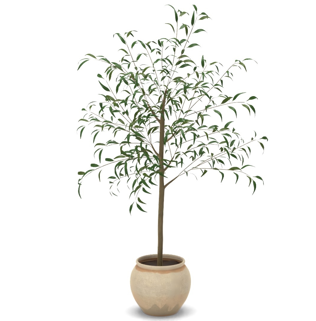 Artificial Weeping Eucalyptus Tree in Pot