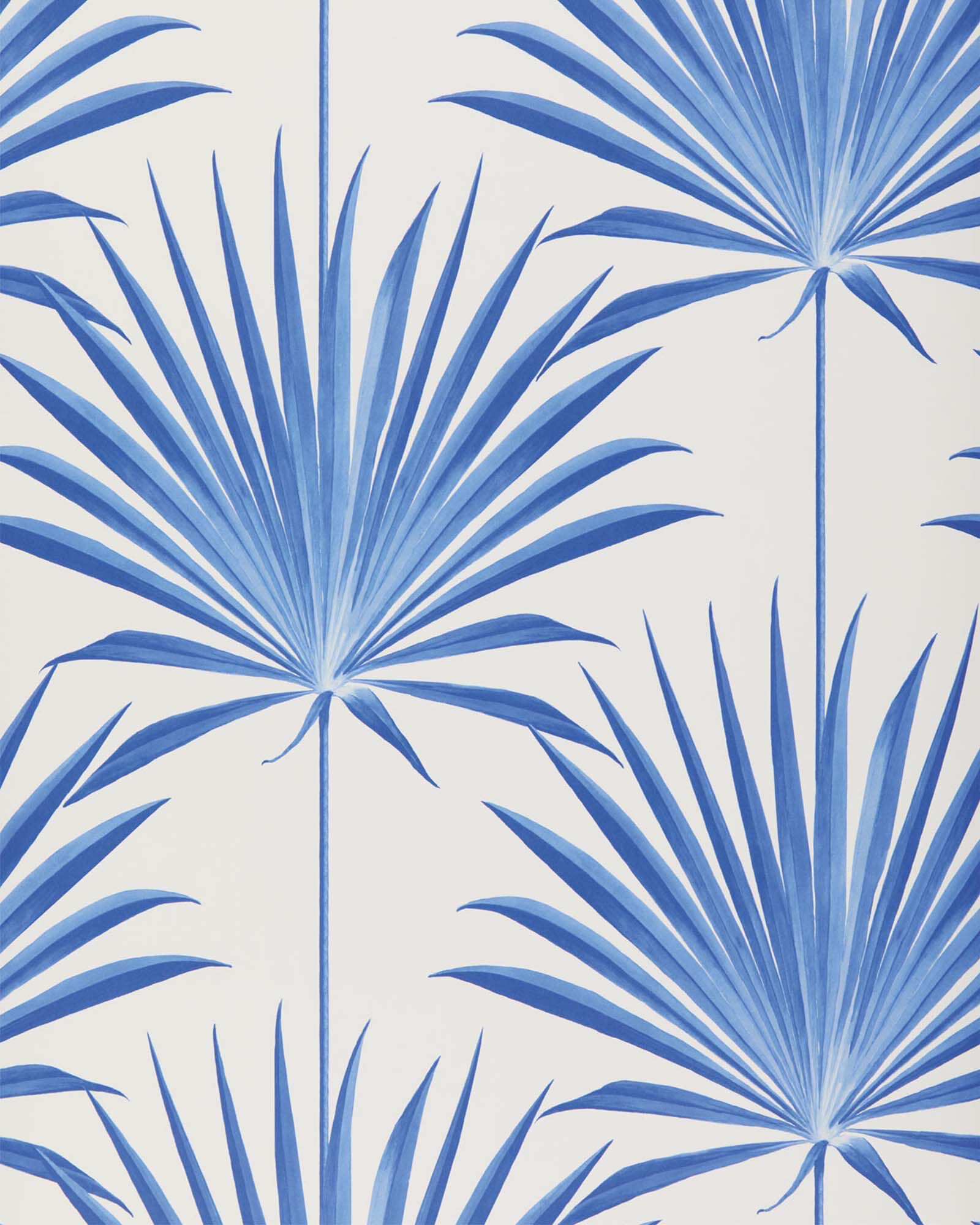 Island Palm Wallpaper