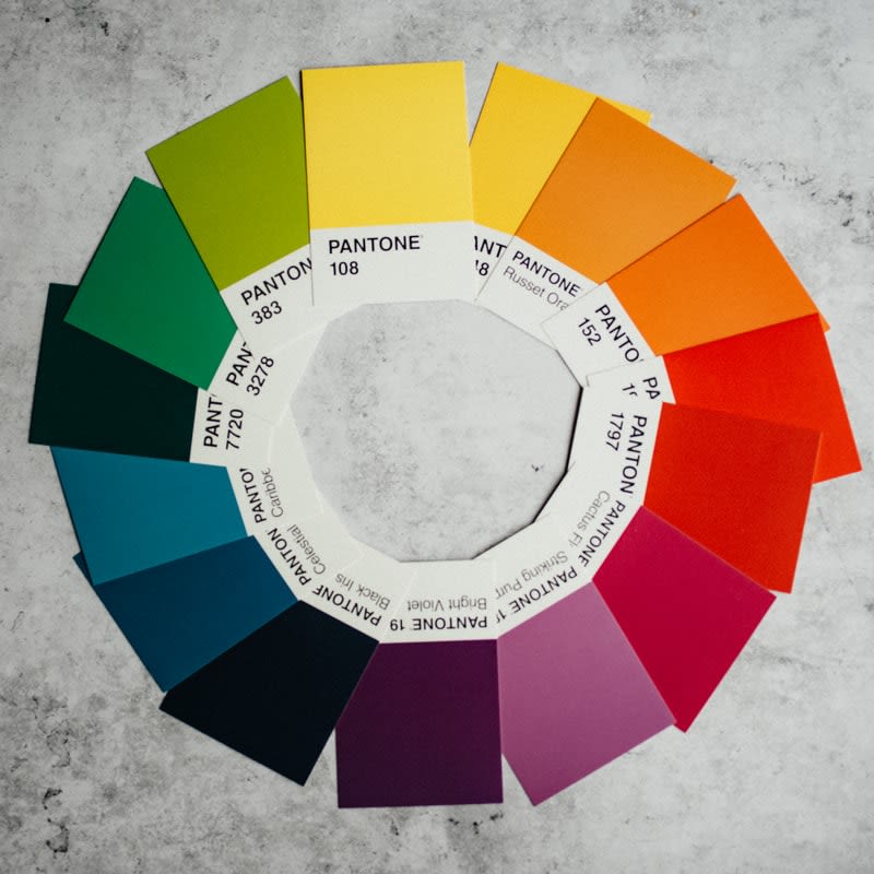 Color Palette Ideas - 3 Step Guide On How To Choose Color Palette 