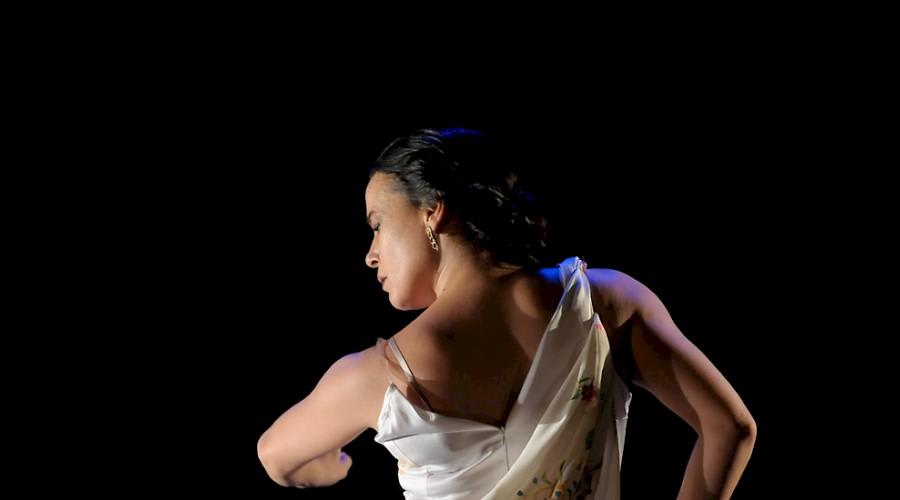 Soledad Barrio and Noche Flamenca