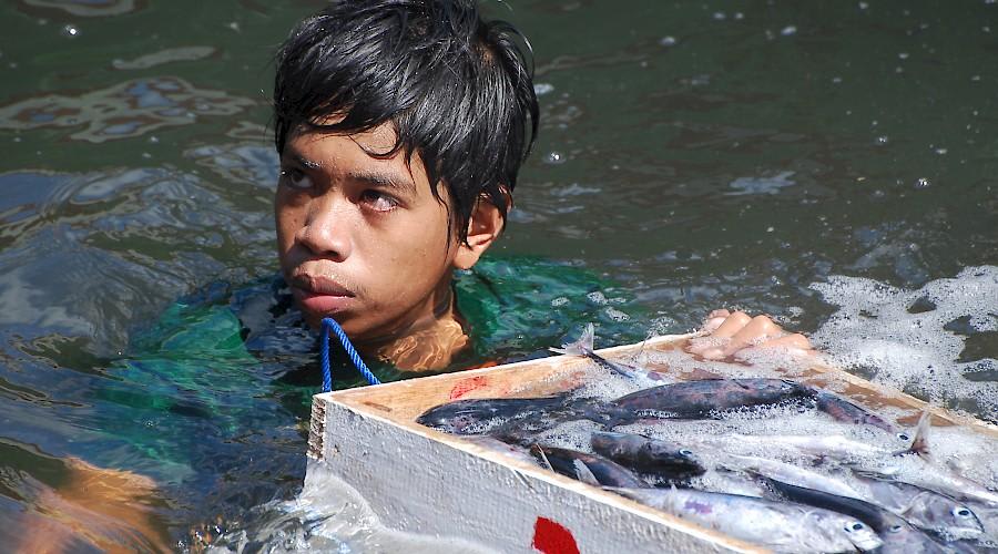 Ecusa's Scientific Lectures: Working with fishermen to recover the world’s fisheries