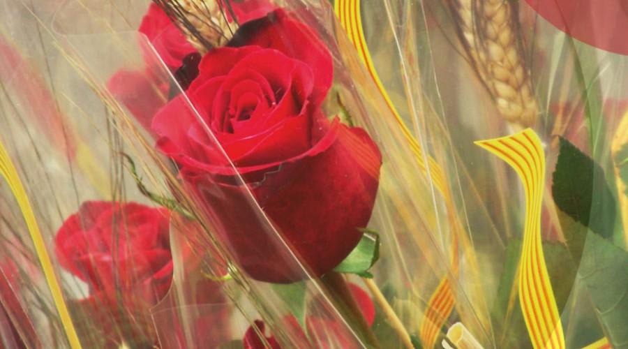 Sant Jordi 2015: Celebrating World Book Day