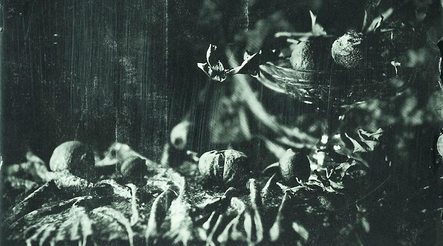 Miquel Salom. Ictum Olim III: Ambrotypes and Tintypes