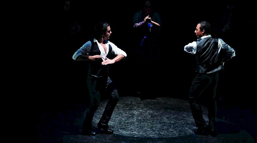 Flamenco Men II by Flamenco Aparicio Dance Company
