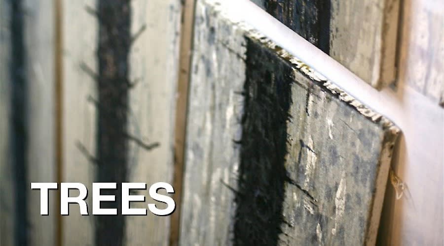 Trees: A Solo Exhibition by Hugo Fontela