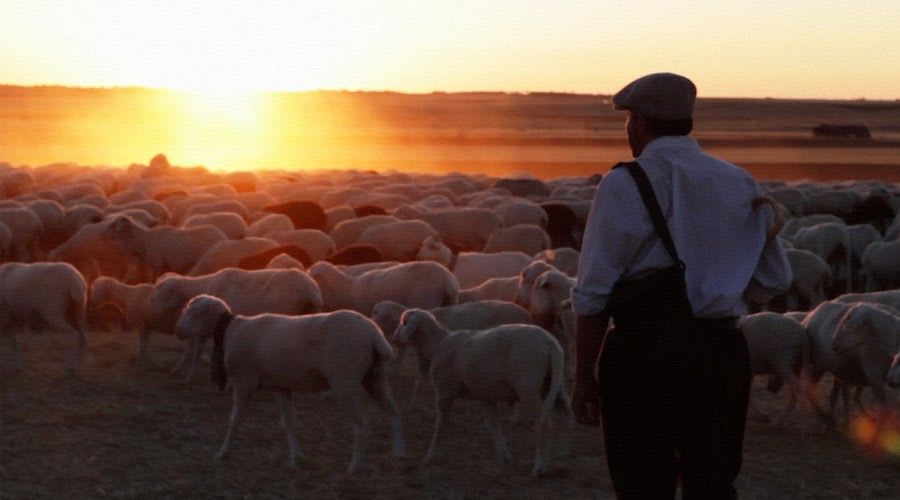 The Shepherd at The Environmental Film Festival