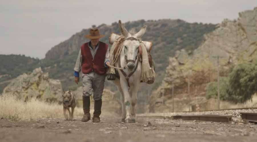 Spanish Cinema at SF International Film Festival