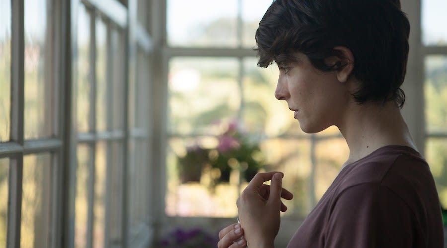 Spanish Cinema Now