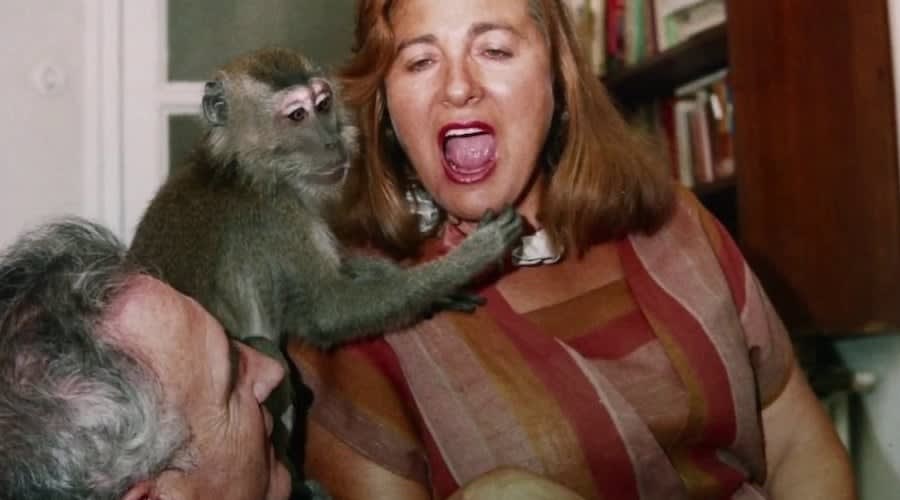 Lots of Kids, a Monkey and a Castle at 2018 SFFILM Festival