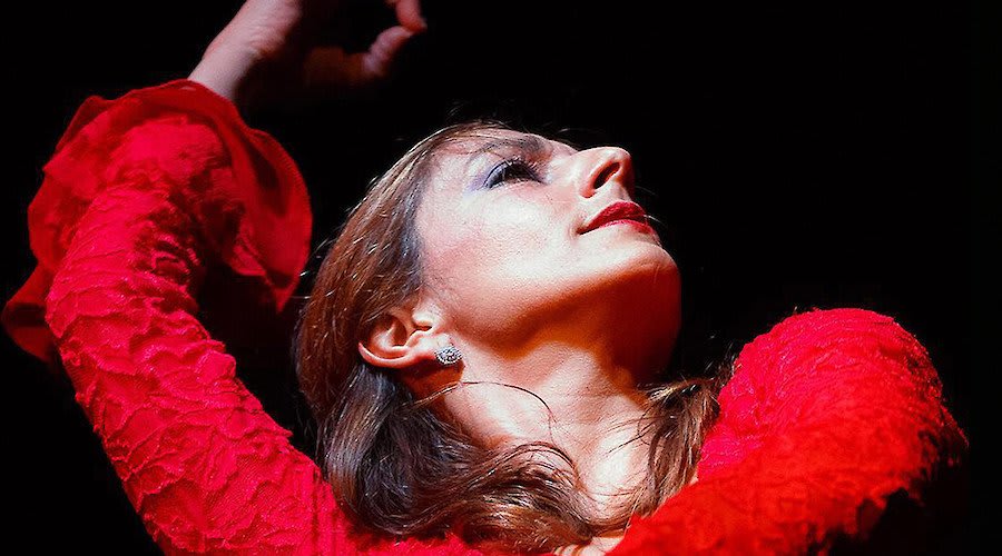 XIV Fuego Flamenco Festival