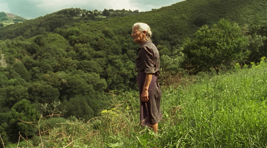 Spanish Cinema Now + 2021