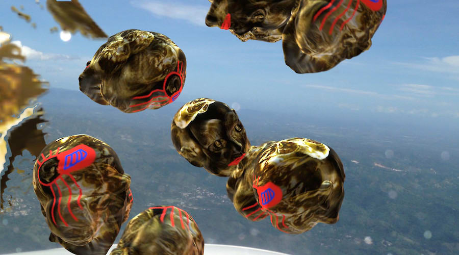 Occupied Spaces: Global Mode > Omnivores by Eva Davidova