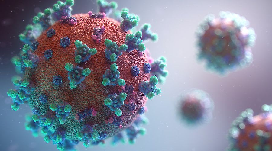 ECUSA Seminar Series I. The next pandemic: challenges for global health and well-being