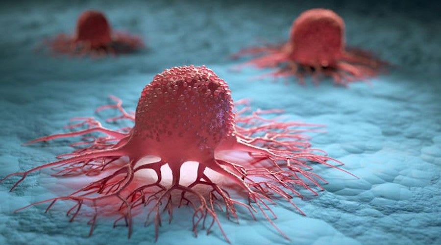 ECUSA Seminar Series for a More Sustainable Future II: Aging, Longevity and Cancer