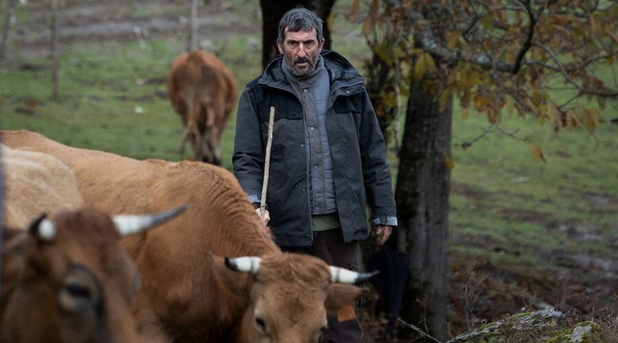 Spanish Cinema Now+ 2023
