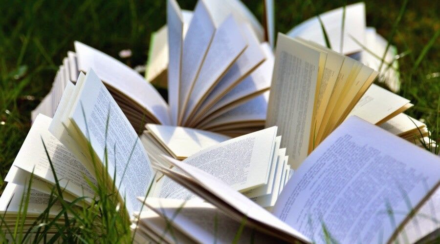 Sant Jordi 2023: Celebrating World Book Day