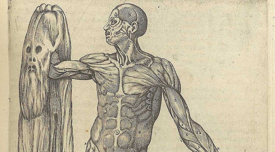 Science ECUSA & Cervantes: Representing Science in Early Modern Spain