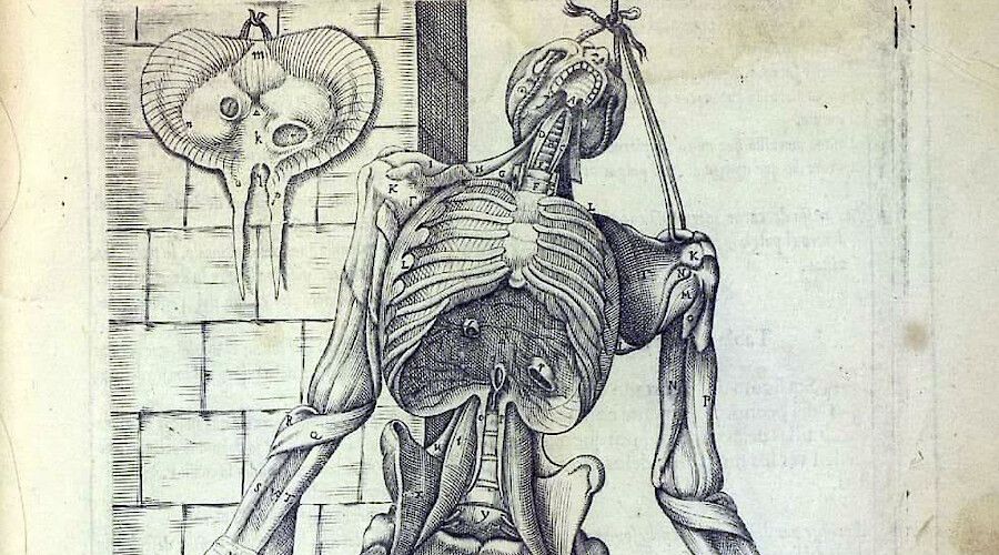 ECUSA Washington DC Seminar Series III: Representing Science in Early Modern Spain